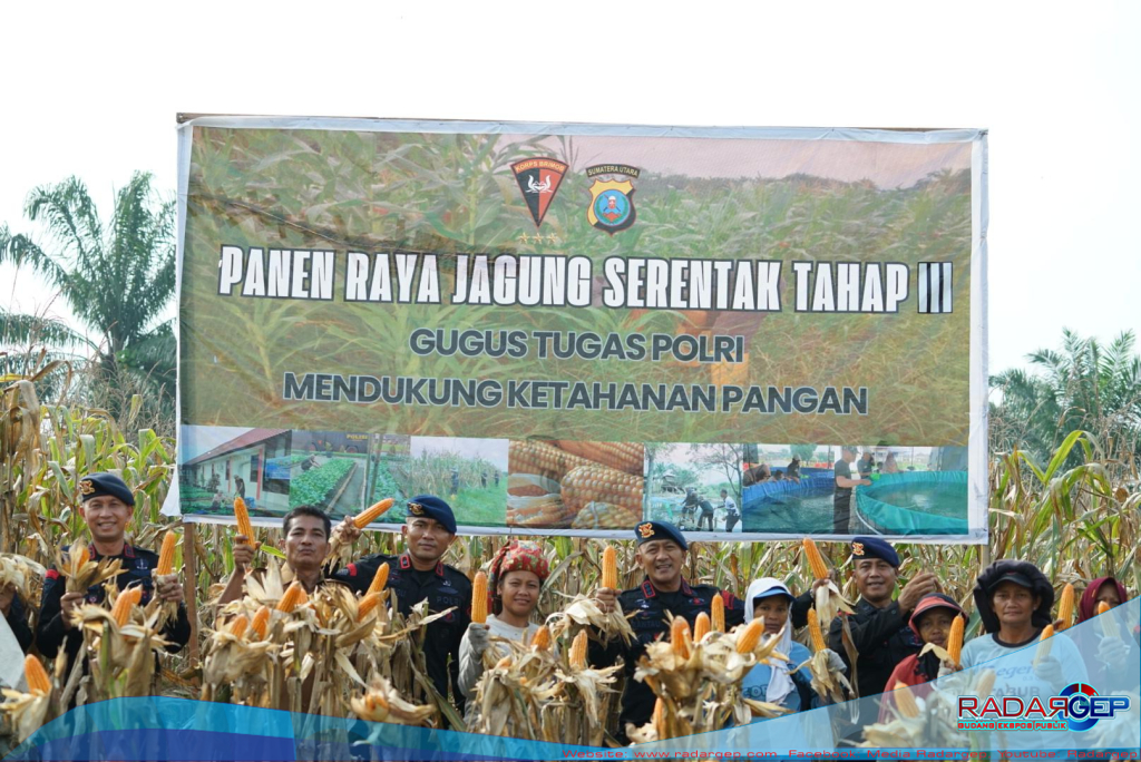 Brimob Polda Sumut Panen Raya Bersama Petani: Wujud Nyata Polri Dukung Ketahanan Pangan Nasional